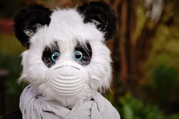 SilverPlay Casino Support